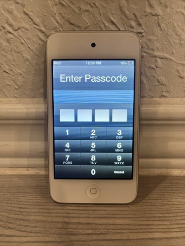 Ipod touch 4th gen 8gb - touch,